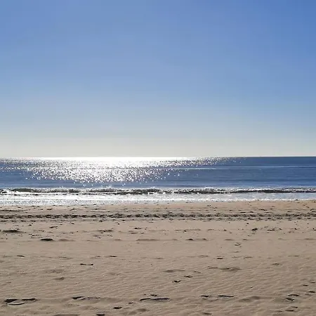 Mi Bonito Del Portil 埃尔波提尔